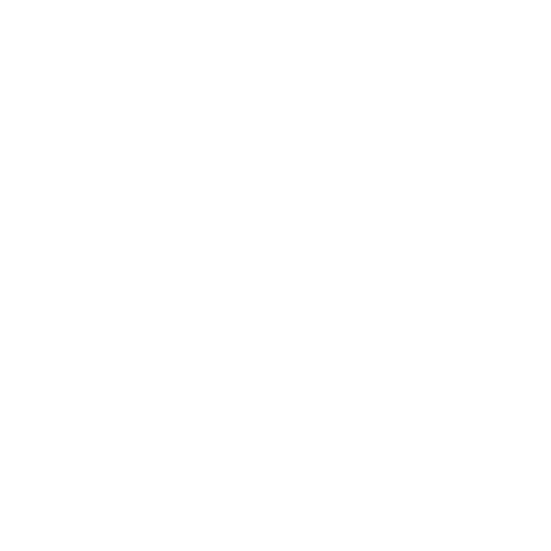 The LightHouse